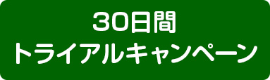 キャンペーン！