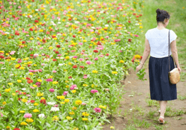 房総フラワーライン