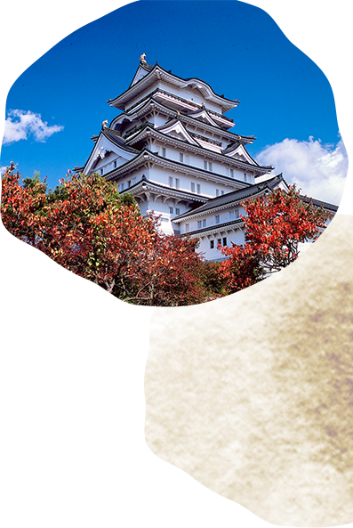 越前大野城