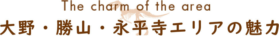 大野・勝山・永平寺エリアの魅力