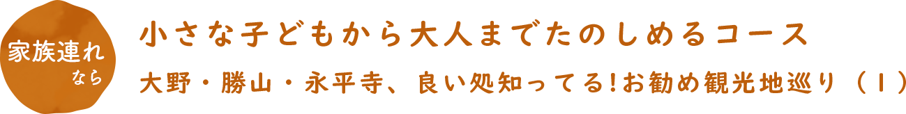 家族連れなら 小さな子どもから大人までたのしめるコース 大野・勝山・永平寺、良い処知ってる!お勧め観光地巡り（１）