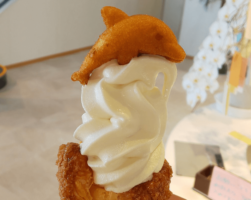 天草市イルカセンター